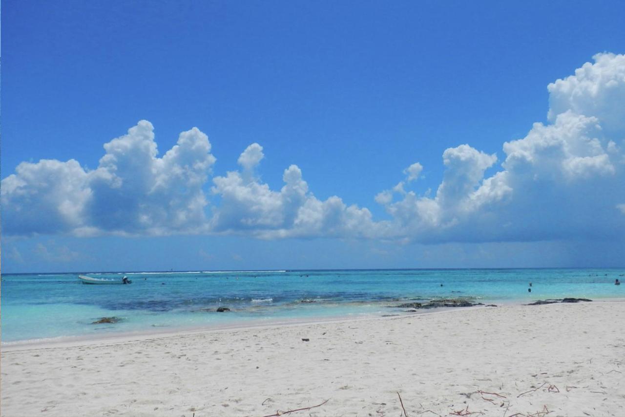 Beautiful In Paradise - Wifi, Ac Appartement *