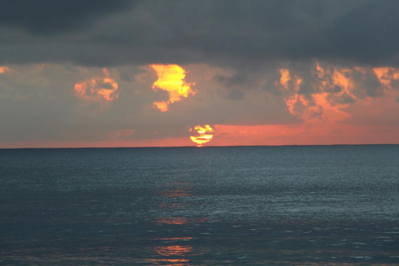 Beautiful In Paradise - Wifi, Ac Appartement Akumal