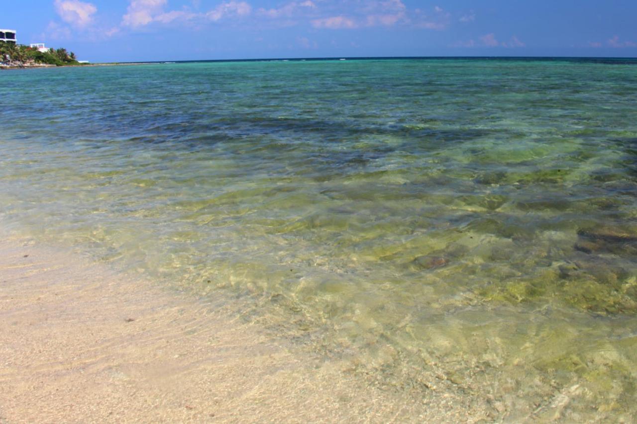 Beautiful In Paradise - Wifi, Ac Appartement